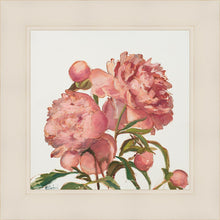 Load image into Gallery viewer, Peony Memories
