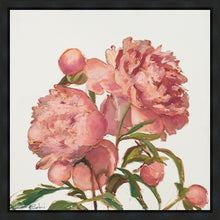 Load image into Gallery viewer, Peony Memories
