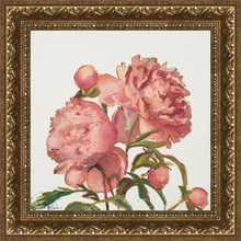 Load image into Gallery viewer, Peony Memories
