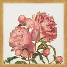 Load image into Gallery viewer, Peony Memories
