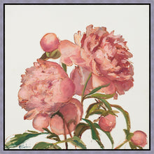 Load image into Gallery viewer, Peony Memories
