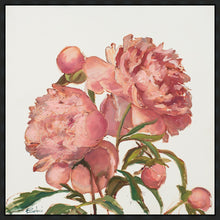Load image into Gallery viewer, Peony Memories
