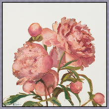 Load image into Gallery viewer, Peony Memories
