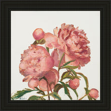 Load image into Gallery viewer, Peony Memories
