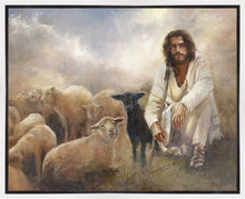 Load image into Gallery viewer, Valued
