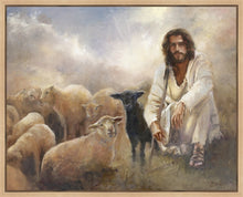 Load image into Gallery viewer, Valued
