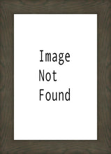 Load image into Gallery viewer, In His Glory
