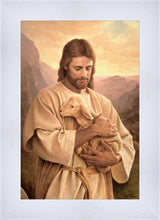 Load image into Gallery viewer, Lost Lamb
