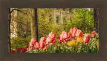 Load image into Gallery viewer, Salt Lake in the Garden
