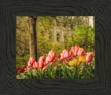 Load image into Gallery viewer, Salt Lake in the Garden
