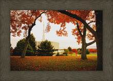 Load image into Gallery viewer, Provo Sanctuary
