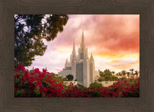 Load image into Gallery viewer, San Diego Flowers

