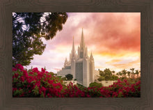 Load image into Gallery viewer, San Diego Flowers
