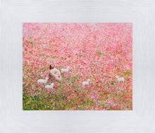 Load image into Gallery viewer, Shepherd's Rest
