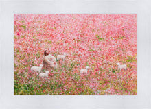 Load image into Gallery viewer, Shepherd's Rest
