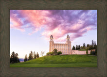 Load image into Gallery viewer, Manti Cotton Candy
