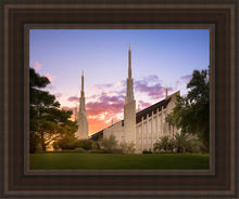 Load image into Gallery viewer, Las Vegas Desert Rose
