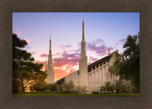 Load image into Gallery viewer, Las Vegas Desert Rose

