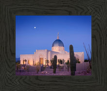 Load image into Gallery viewer, Tucson Cactus Morning
