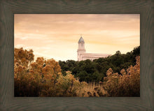 Load image into Gallery viewer, Cedar City Golden
