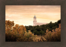 Load image into Gallery viewer, Cedar City Golden
