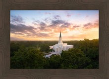 Load image into Gallery viewer, Houston from on High
