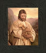 Load image into Gallery viewer, Lost Lamb
