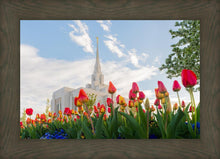 Load image into Gallery viewer, Ogden Flowers
