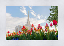 Load image into Gallery viewer, Ogden Flowers
