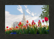 Load image into Gallery viewer, Ogden Flowers
