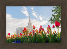 Load image into Gallery viewer, Ogden Flowers
