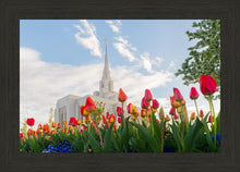 Load image into Gallery viewer, Ogden Flowers
