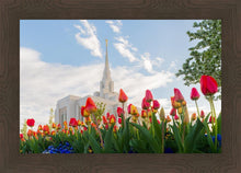 Load image into Gallery viewer, Ogden Flowers
