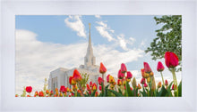 Load image into Gallery viewer, Ogden Flowers
