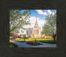 Load image into Gallery viewer, Ogden Grounds
