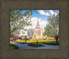 Load image into Gallery viewer, Ogden Grounds
