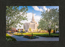 Load image into Gallery viewer, Ogden Grounds
