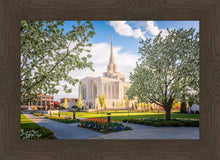 Load image into Gallery viewer, Ogden Grounds
