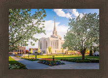 Load image into Gallery viewer, Ogden Grounds

