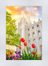 Load image into Gallery viewer, Salt Lake Spring Tulips
