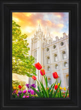 Load image into Gallery viewer, Salt Lake Spring Tulips
