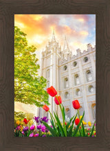 Load image into Gallery viewer, Salt Lake Spring Tulips
