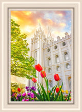 Load image into Gallery viewer, Salt Lake Spring Tulips
