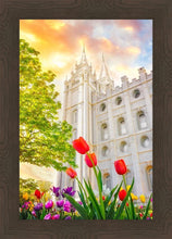 Load image into Gallery viewer, Salt Lake Spring Tulips
