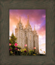 Load image into Gallery viewer, Salt Lake Tulips

