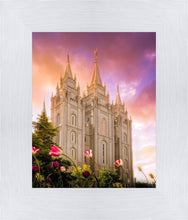 Load image into Gallery viewer, Salt Lake Tulips
