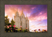Load image into Gallery viewer, Salt Lake Tulips

