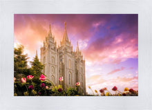 Load image into Gallery viewer, Salt Lake Tulips
