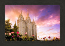 Load image into Gallery viewer, Salt Lake Tulips
