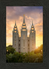 Load image into Gallery viewer, Salt Lake Golden
